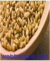 1474109846_Fenugreek Seeds.jpg
